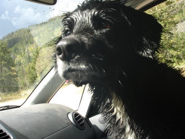 /Images/uploads/Humane Society of Utah/HSUCalendar/entries/962thumb.jpg